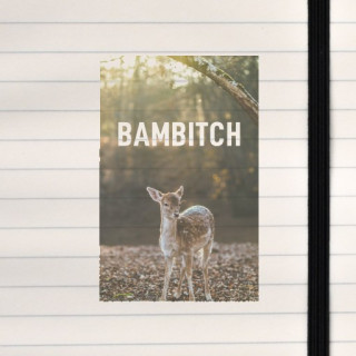 A bold and playful forest‑themed design featuring a young deer in warm woodland light, contrasted with a cheeky, modern text ove