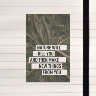 A raw reflection on death and renewal — nature destroys, then repurposes.