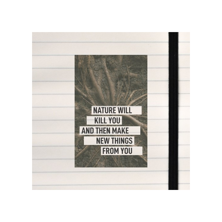 A raw reflection on death and renewal — nature destroys, then repurposes.