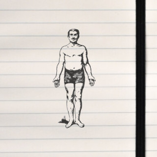A traditional full‑body anatomical illustration rendered in a vintage engraving‑style pose.