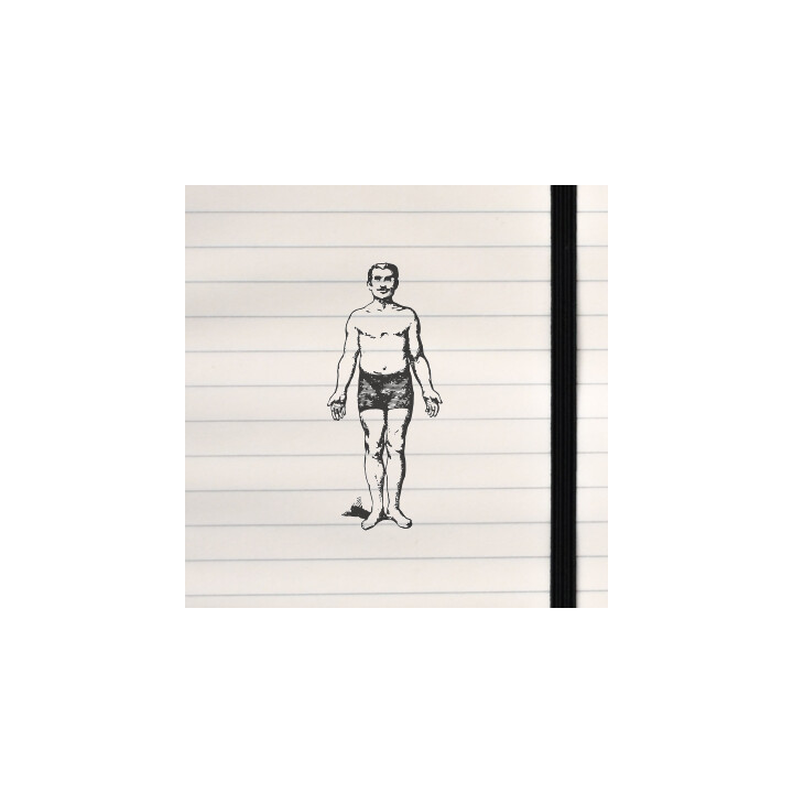 A traditional full‑body anatomical illustration rendered in a vintage engraving‑style pose.