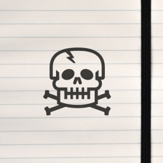 A sharp, stylized skull emblem with crossed bones and a lightning‑charged twist for maximum visual punch.