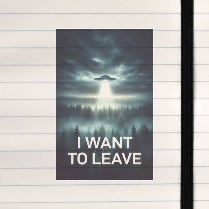 A misty forest meets an eerie extraterrestrial escape fantasy.
