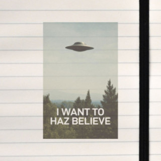 A classic UFO poster reimagined with meme‑style humor.