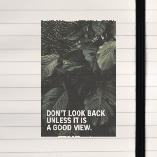 Jungle photo with a motivational text.