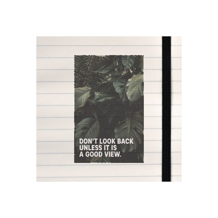 Jungle photo with a motivational text.